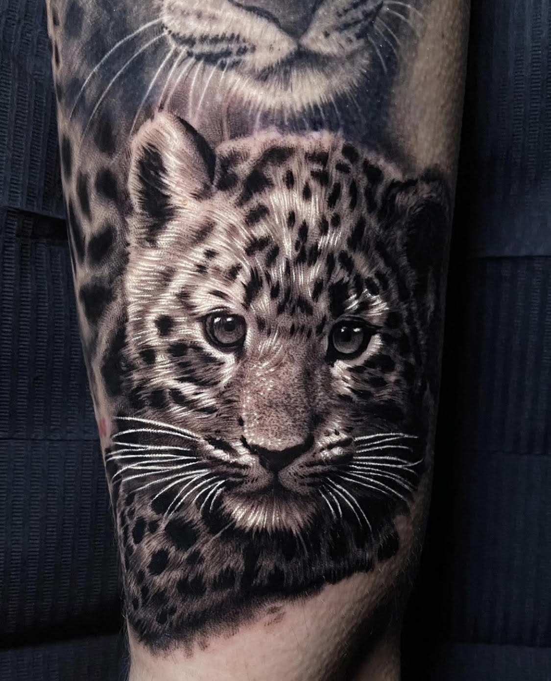 Majestic Leopard Temporary Tattoo | EasyTatt™