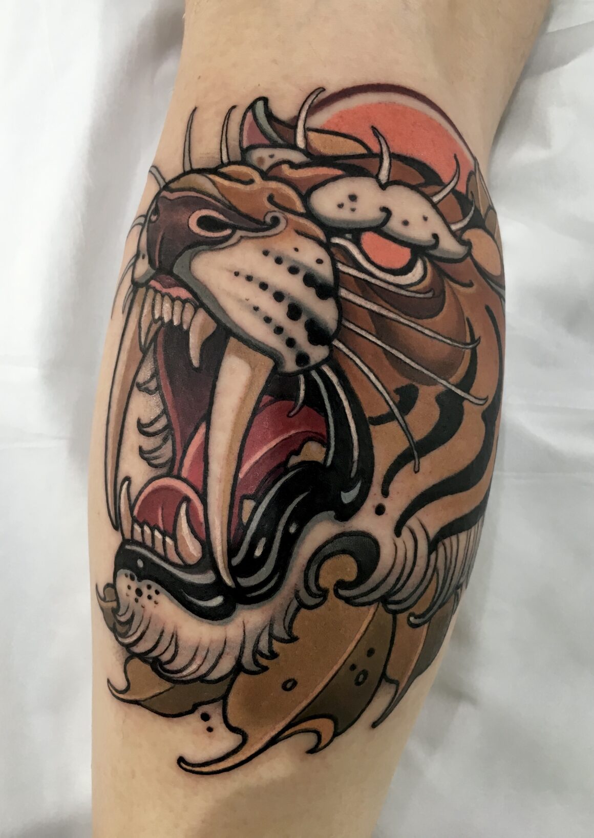Sabertooth skull by Kirsten @ Black Lotus Tattoo, Hanover MD : r/tattoos