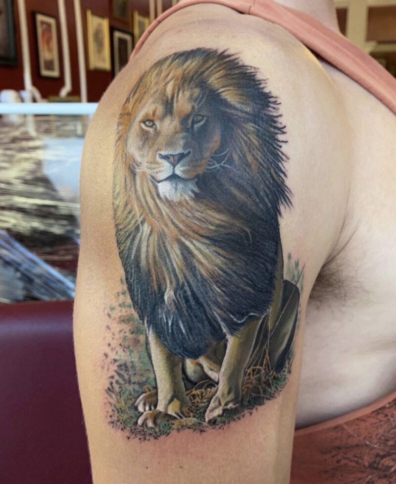 The symbology of Lion Tattoos - Tattoo Life