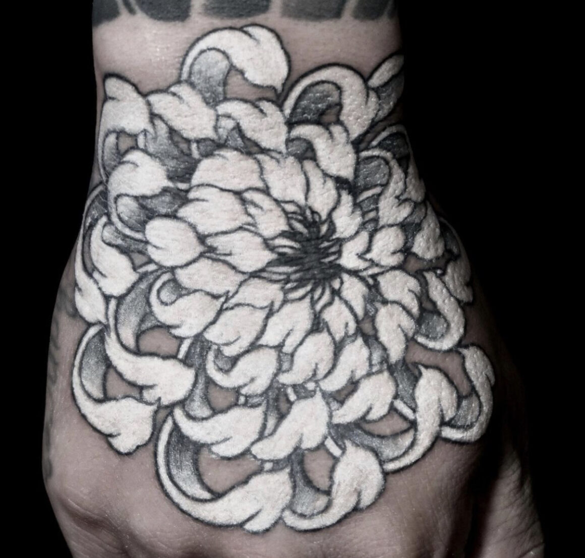 1000 Chrysanthemum Tattoo Stock Photos Pictures  RoyaltyFree Images   iStock