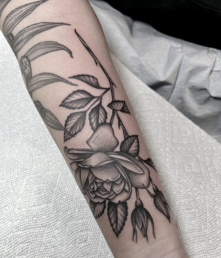 Sarah Herzdame, how that gorgeous Fine-Line moved to San Diego - Tattoo ...